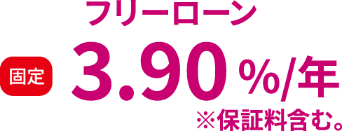 フリーローン 固定3.90%/年