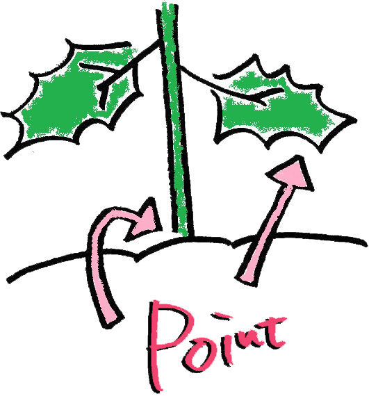 土づくり 理想の土壌は水はけ 通気性が良く 保水 保肥力をそなえた土壌 Jaえひめ中央 えひめ中央農業協同組合