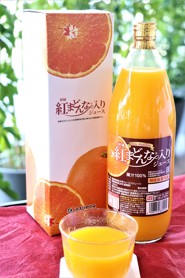 柑橘紅まどんな 入りジュース 果汁100 発売開始 Jaえひめ中央 えひめ中央農業協同組合