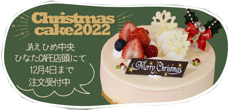 2022クリスマスケーキ