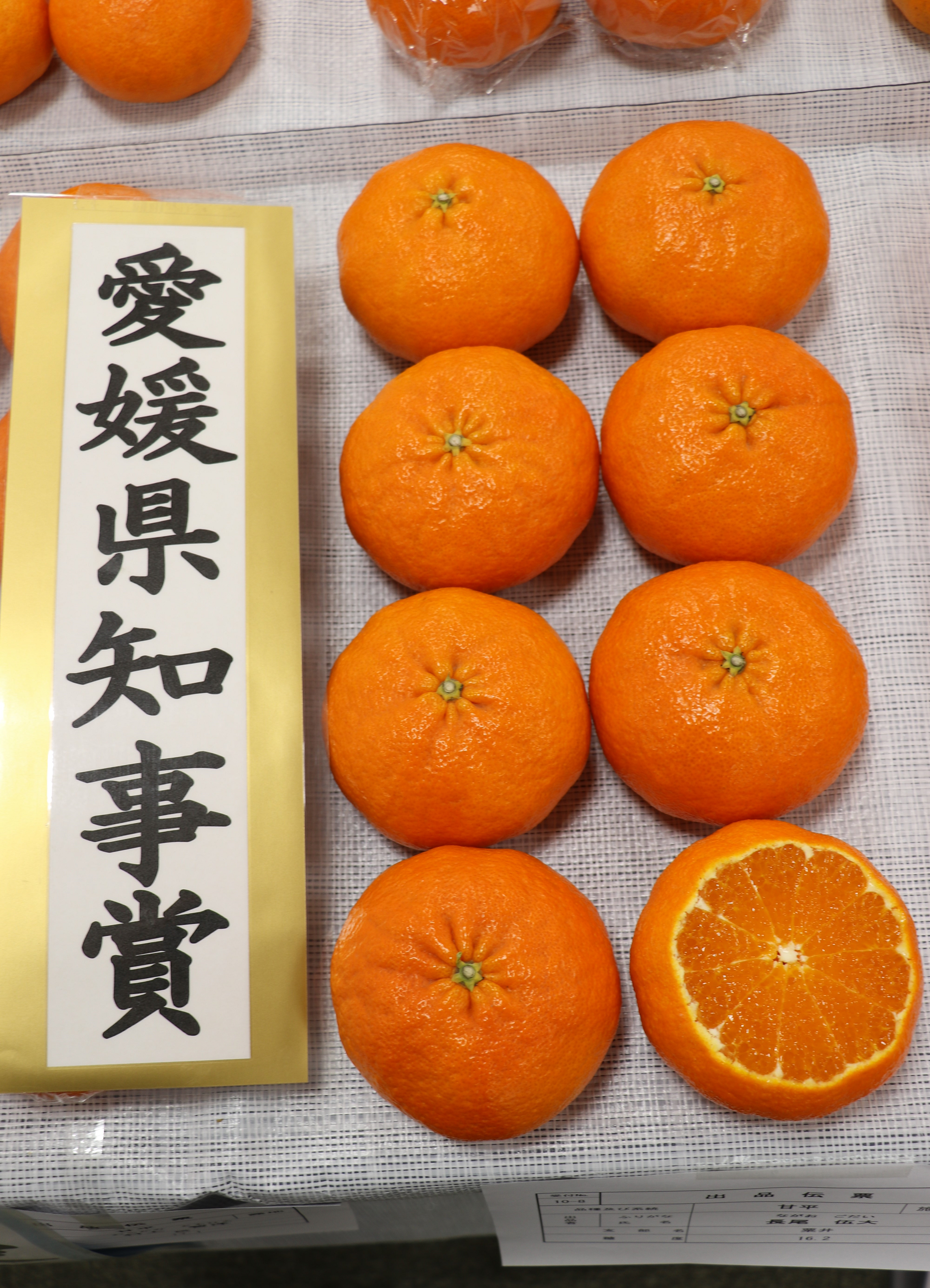 取材レポ】「第24回JAえひめ中央農産物品評会・生産者大会」開催 | JA