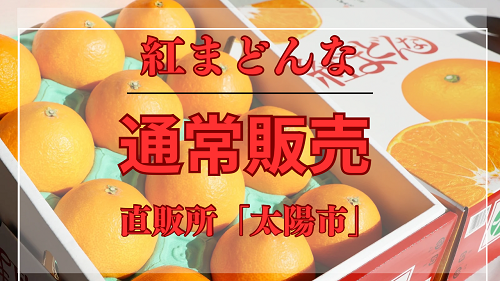紅 他の方の購入はご遠慮下さい。 直販所「太陽市」より「紅まどんな」通常販売のお知らせ | JAえひめ